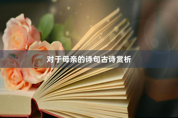 对于母亲的诗句古诗赏析